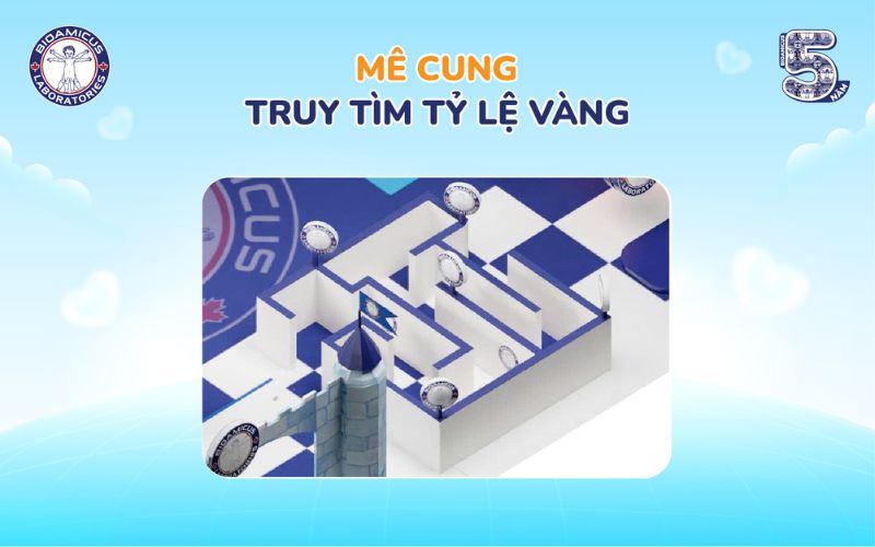 Mê cung truy tìm tỷ lệ vàng