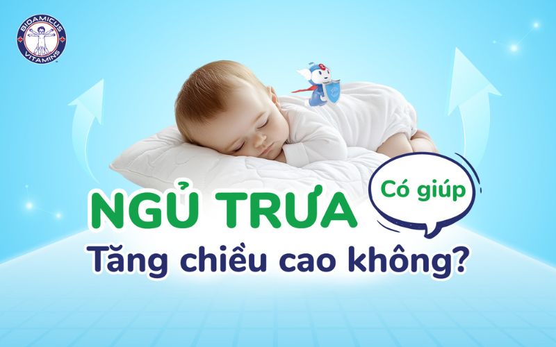 Ngủ trưa có giúp tăng chiều cao không?