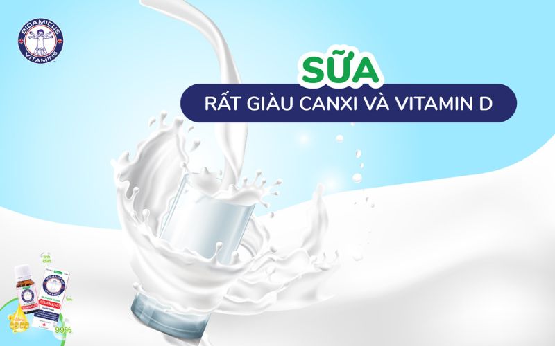 Sữa giàu Canxi và Vitamin D