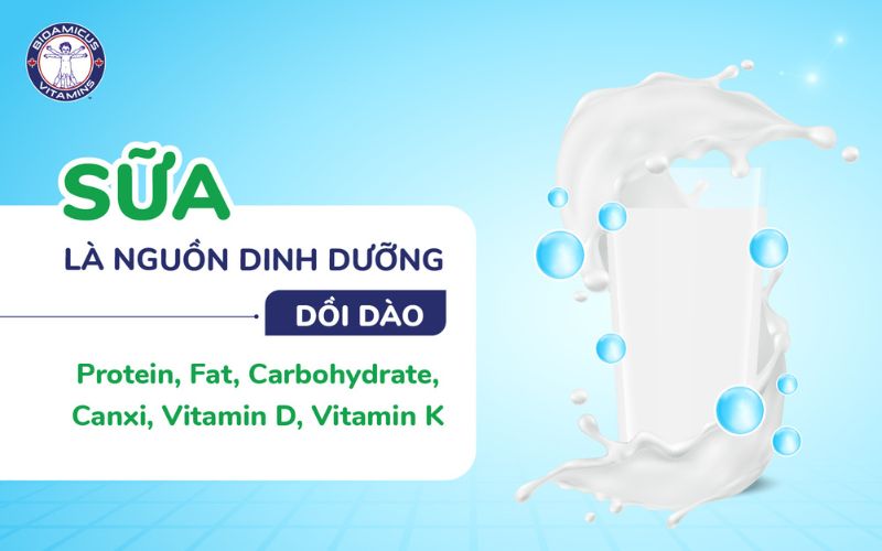 Sữa là nguồn dinh dưỡng dồi dào
