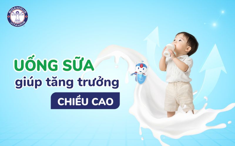 Uống sữa có thể giúp tăng chiều cao