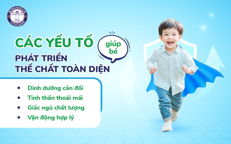 Các yếu tố giúp trẻ phát triển thể chất toàn diện