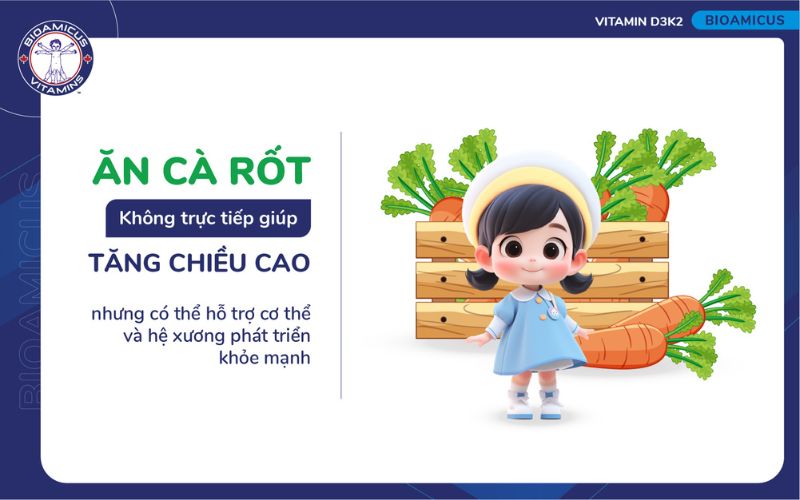 Ăn cà rốt không trực tiếp giúp tăng chiều cao