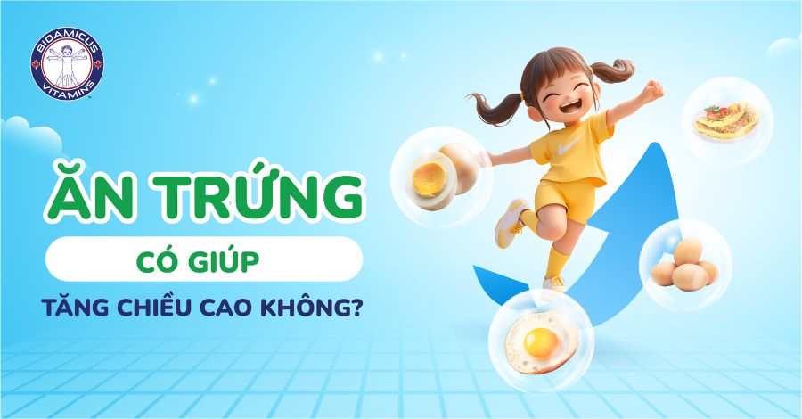Trẻ ăn trứng có tăng chiều cao không? Giải đáp cho ba mẹ