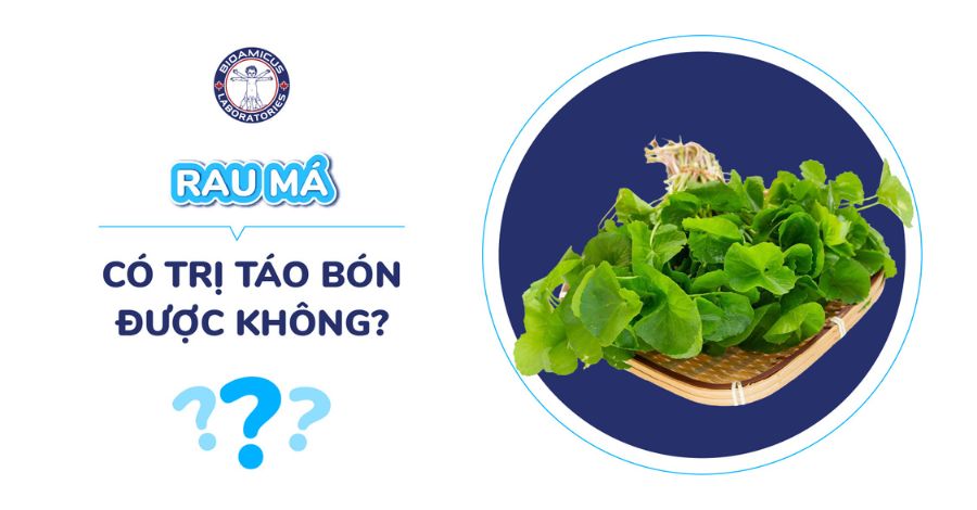 Rau má có trị táo bón không? Tìm hiểu ngay