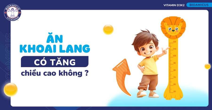 Ăn khoai lang có tăng chiều cao không? TÌM HIỂU NGAY