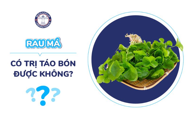 Rau má có trị táo bón được không?