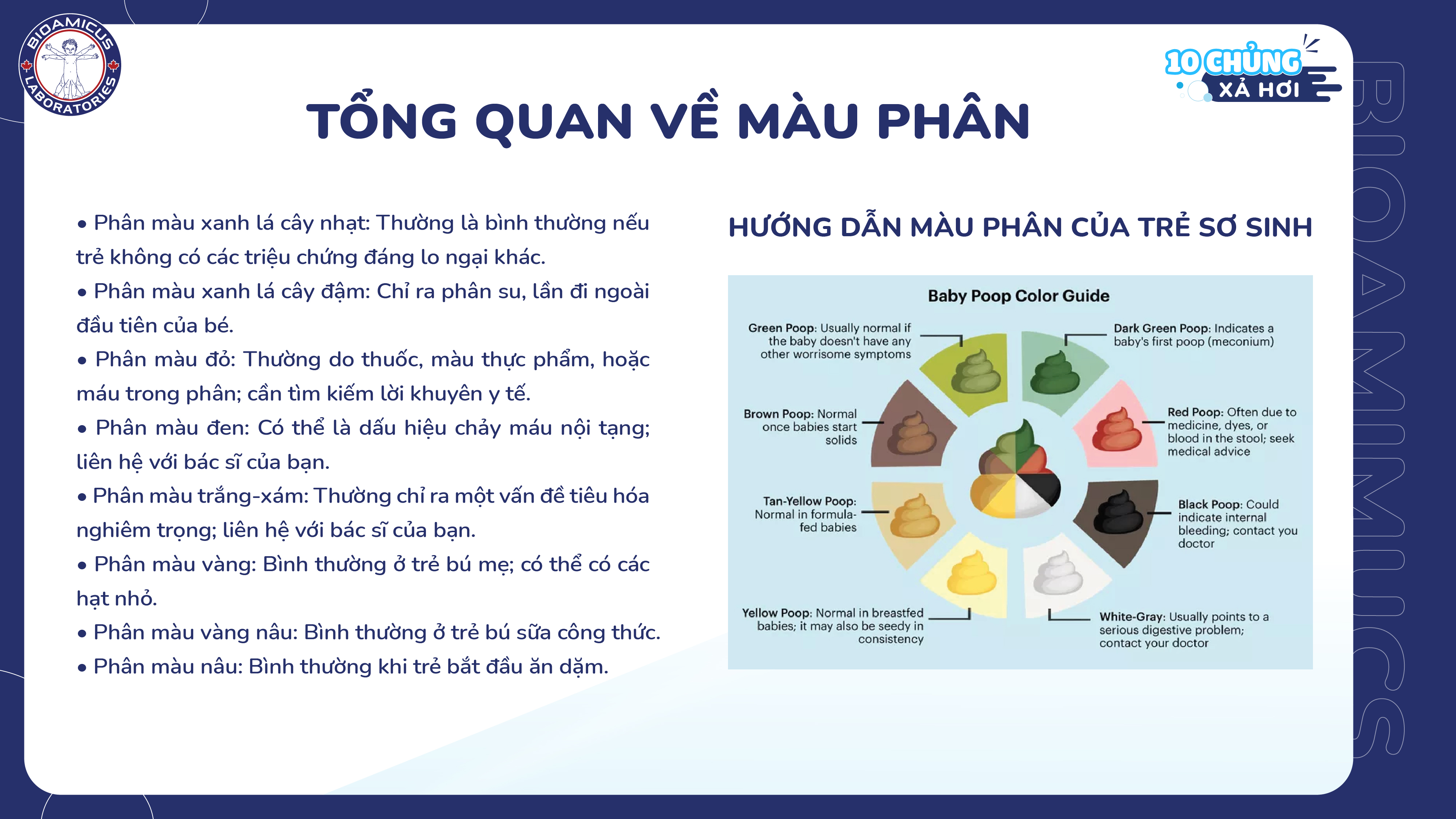 Workshop mang đến những kiến thức hữu ích về tình trạng phân của trẻ