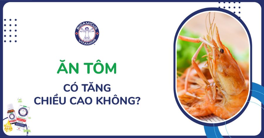 Trẻ ăn tôm có tăng chiều cao không? Ba mẹ cần biết