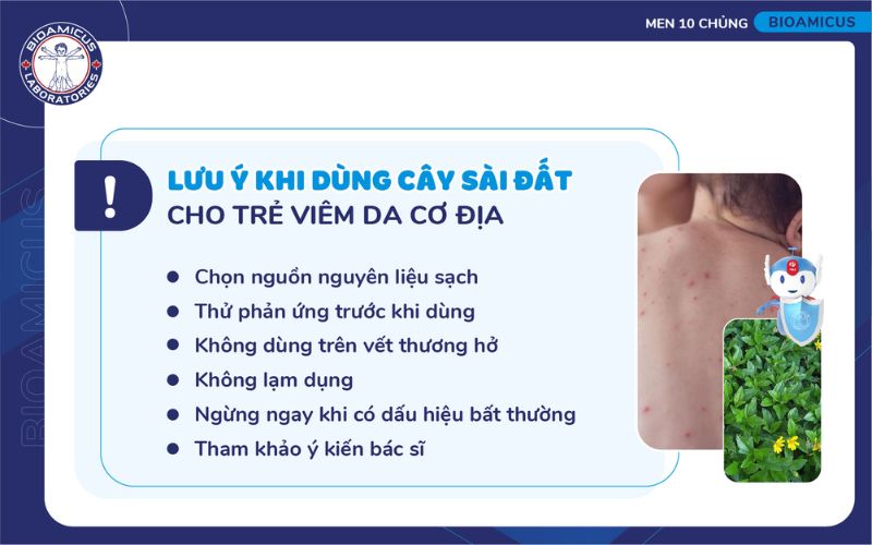 Lưu ý khi dùng cây sài đất chữa viêm da cơ địa