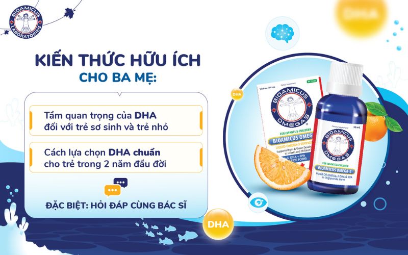 Nội dung Workshop DHA