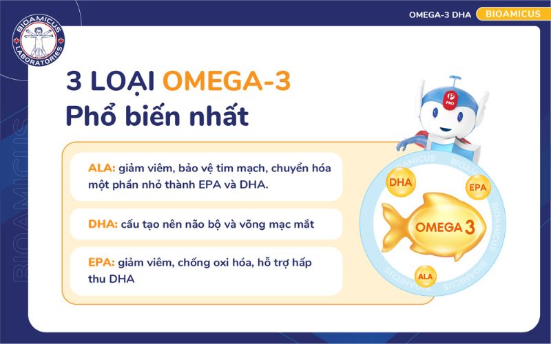 3 loại Omega-3 phổ biến nhất