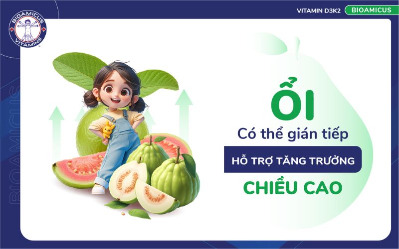 Ăn ổi gián tiếp hỗ trợ tăng trưởng chiều cao