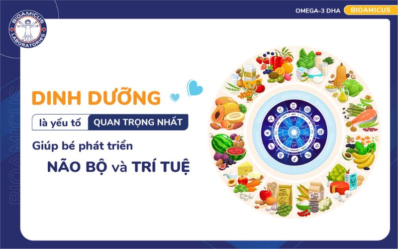 Dinh dưỡng rất quan trọng với não bộ trẻ