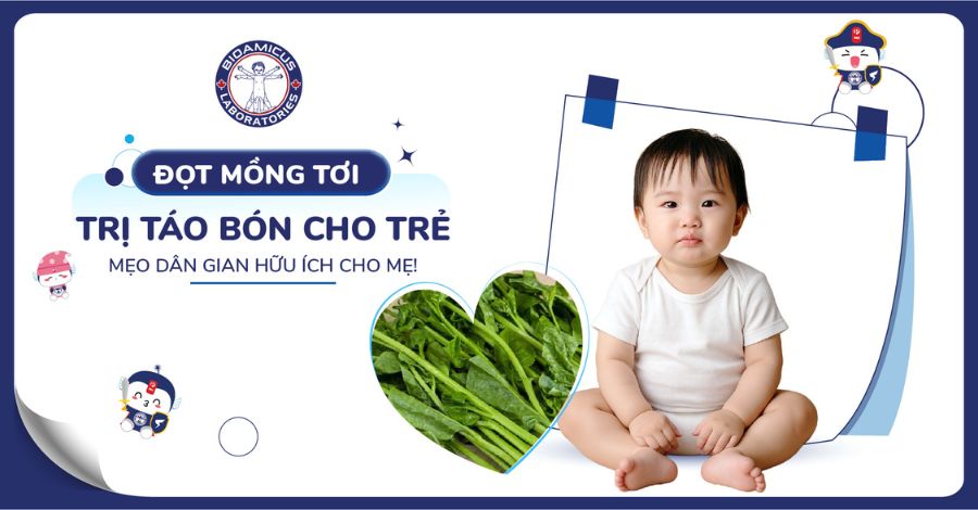 Đọt mồng tơi trị táo bón - Mẹo hay dân gian tại nhà