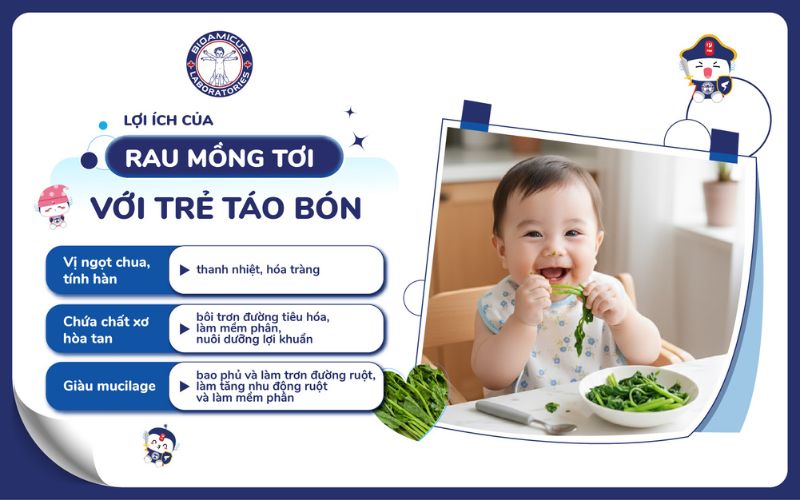 lợi ích của rau mồng tơi với trẻ táo bón