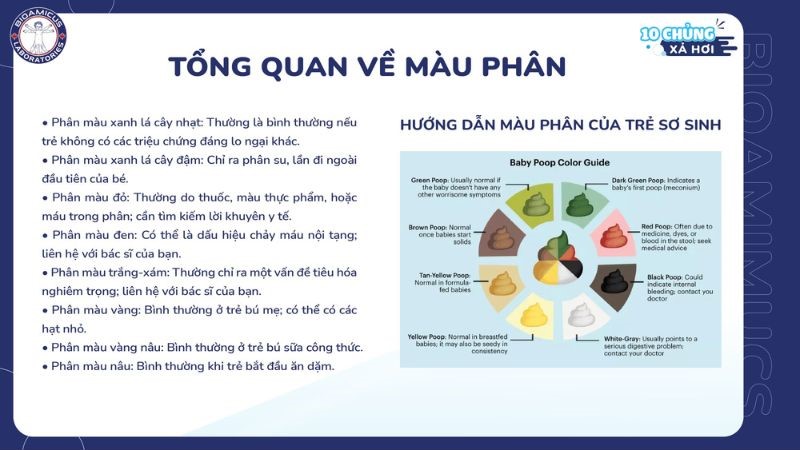 Tổng quan về màu sắc phân của trẻ