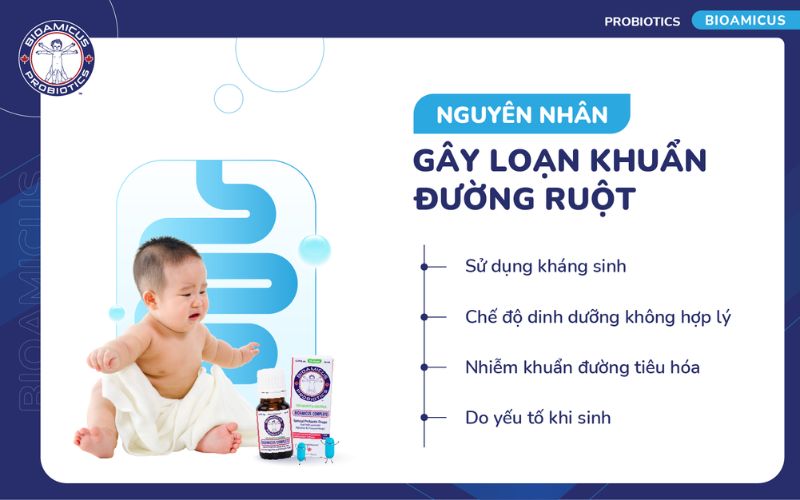 Nguyên nhân gây loạn khuẩn đường ruột