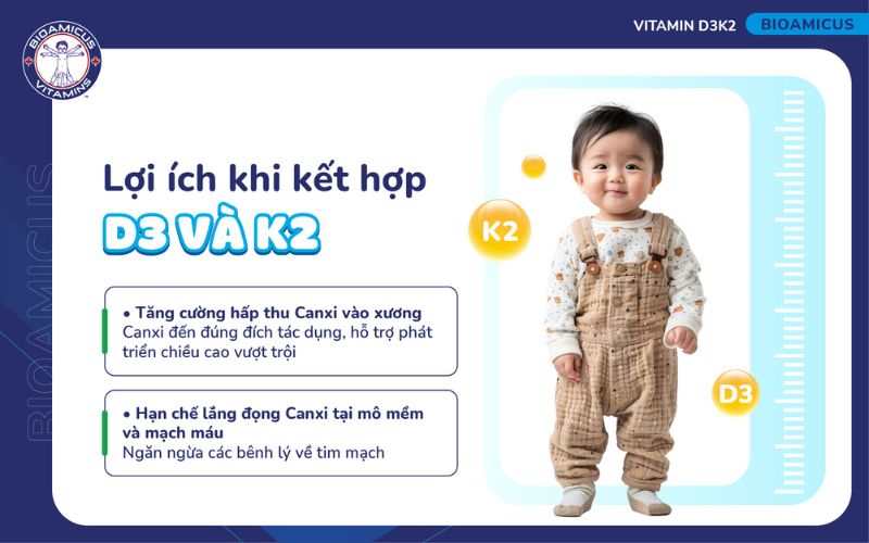 lợi &iacute;ch khi kết hợp d3 v&agrave; k2