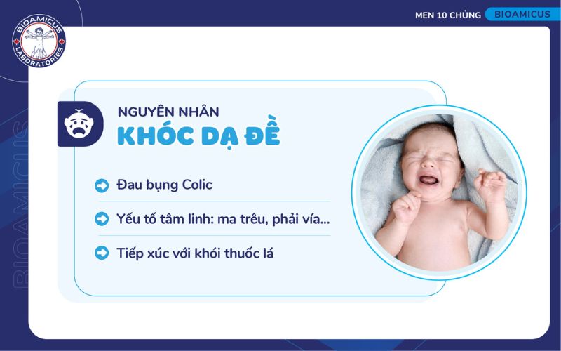 nguyên nhân khóc dạ đề