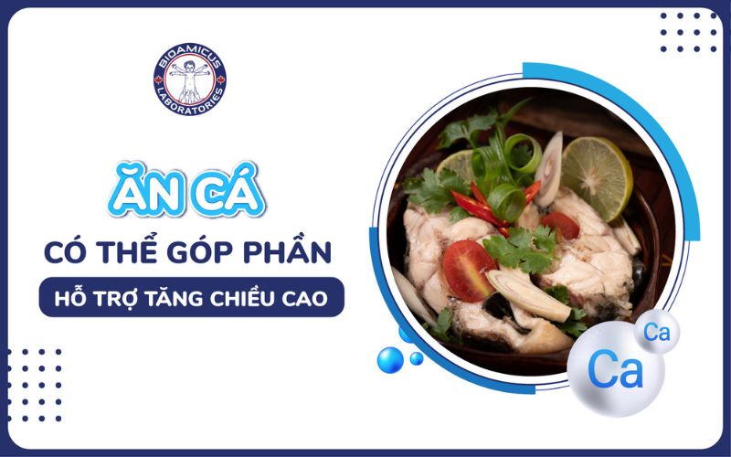 Ăn cá góp phần tăng chiều cao