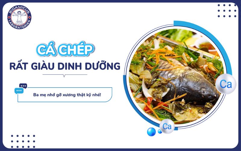 Ăn cá chép giúp tăng chiều cao