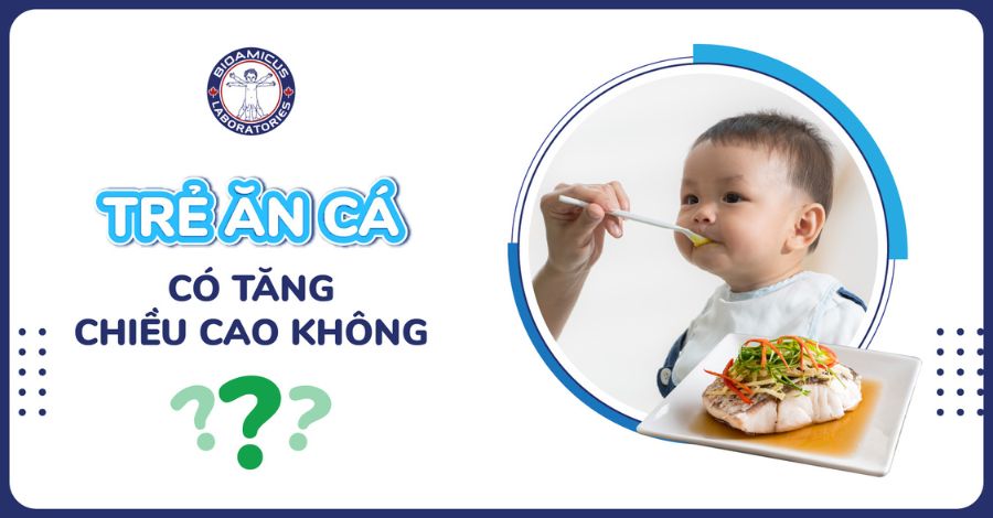Ăn cá có tăng chiều cao không? Top 5 loại cá giàu dưỡng chất