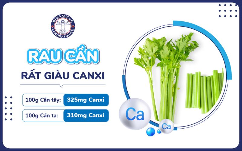 Rau cần giàu canxi cho xương