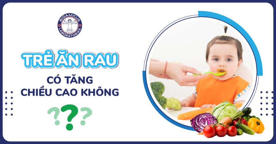 Ăn rau có tăng chiều cao không? Trẻ ăn rau gì để tăng chiều cao?
