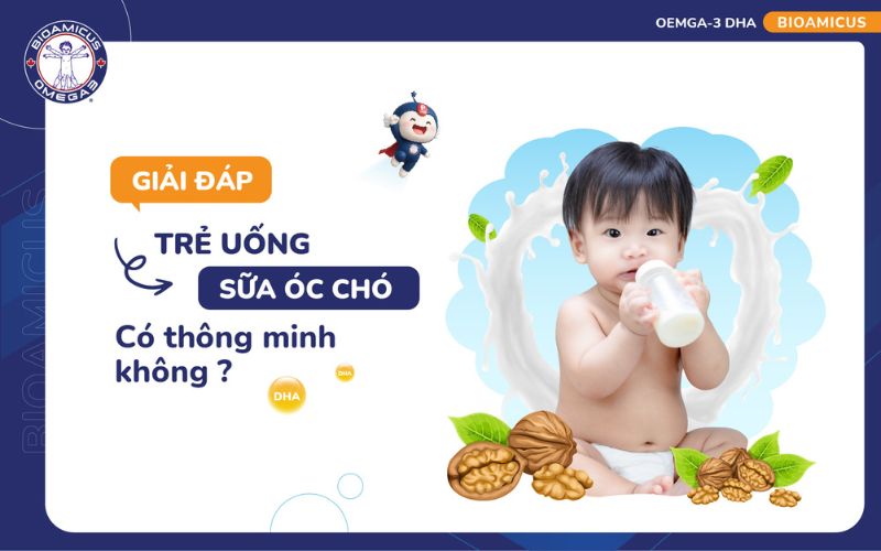 Trẻ uống sữa óc chó có thông minh không?