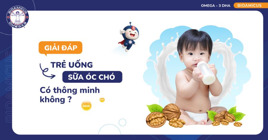 Trẻ uống sữa óc chó có thông minh không? Giải đáp chi tiết