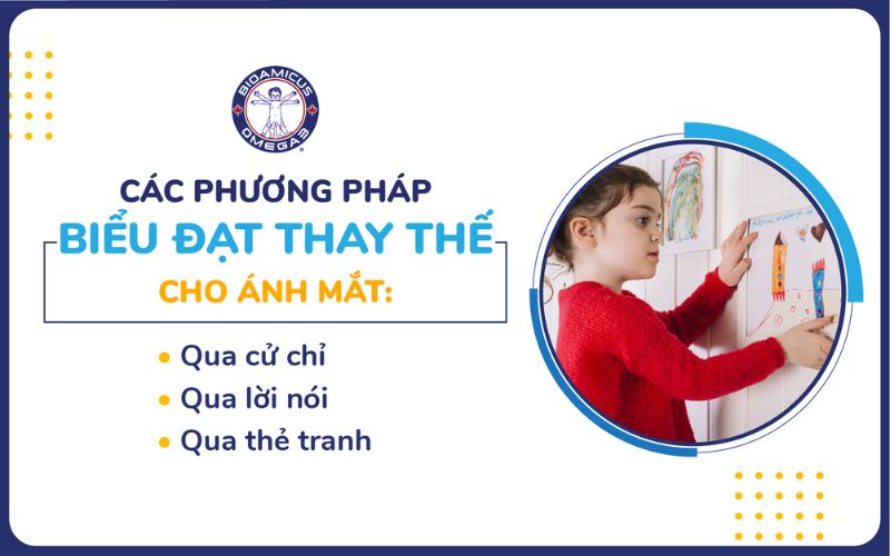 Các phương pháp biểu đạt thay thế cho ánh mắt