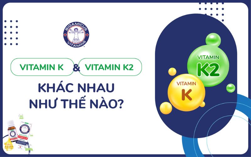 Vitamin K và K2 khác nhau như thế nào?