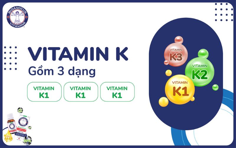 Vitamin K