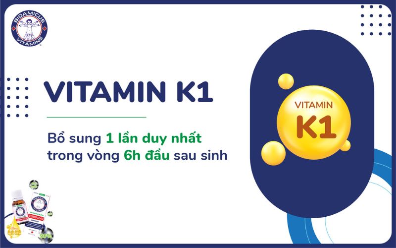 Bổ sung vitamin k1