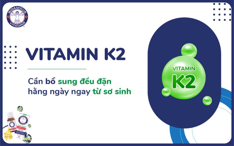 Bổ sung vitamin k2