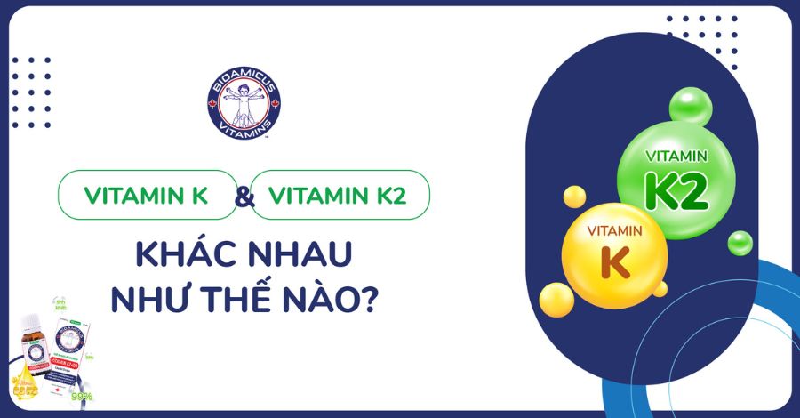 Vitamin K và K2 khác nhau như thế nào? Loại nào cần cho bé?