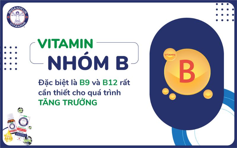 Vitamin B