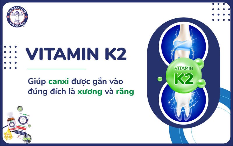 Vitamin K2
