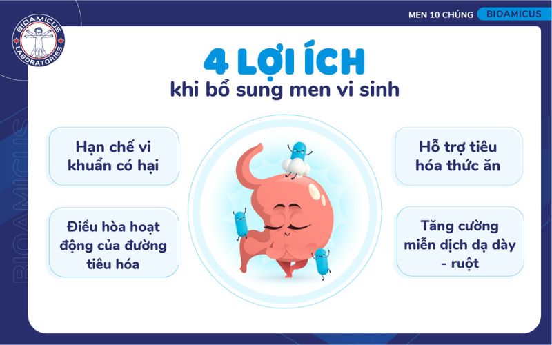 4 lợi &iacute;ch khi bổ sung men vi sinh cho người đau dạ d&agrave;y