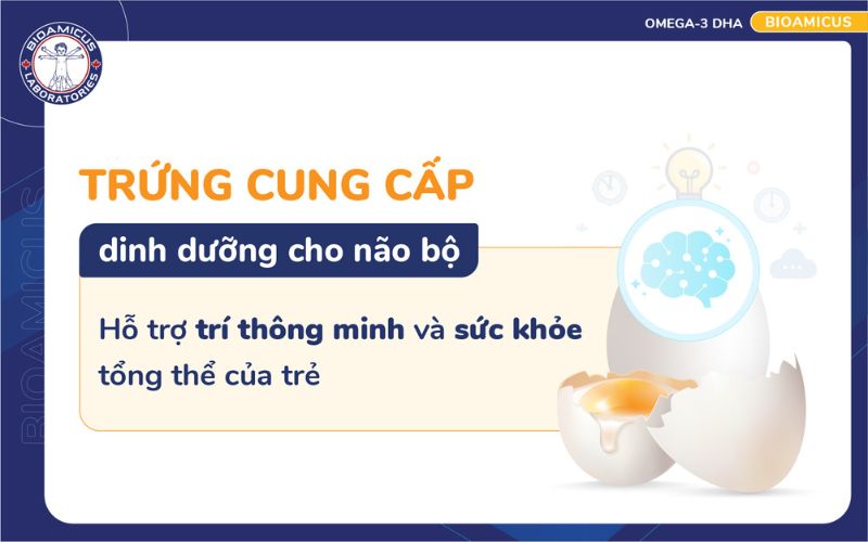 ăn trứng hỗ trợ gi&uacute;p trẻ th&ocirc;ng minh hơn