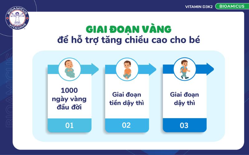 3 giai đoạn v&agrave;ng để hỗ trợ tăng chiều cho b&eacute;