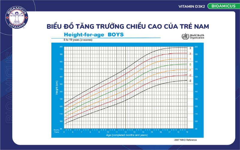 Biểu đồ tăng trưởng chiều cao ở trẻ nam