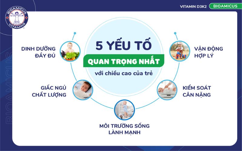 5 yếu tố quan trọng nhất gi&uacute;p trẻ tăng cao
