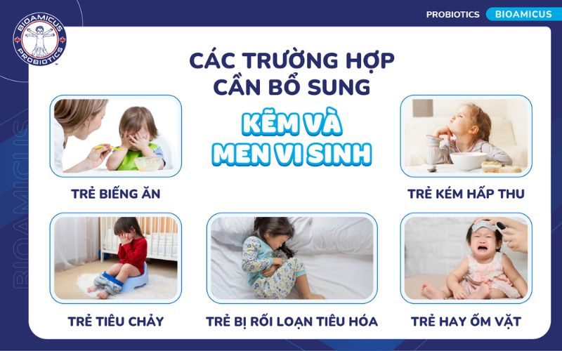 c&aacute;c trường hợp cần uống kẽm v&agrave; men vi sinh