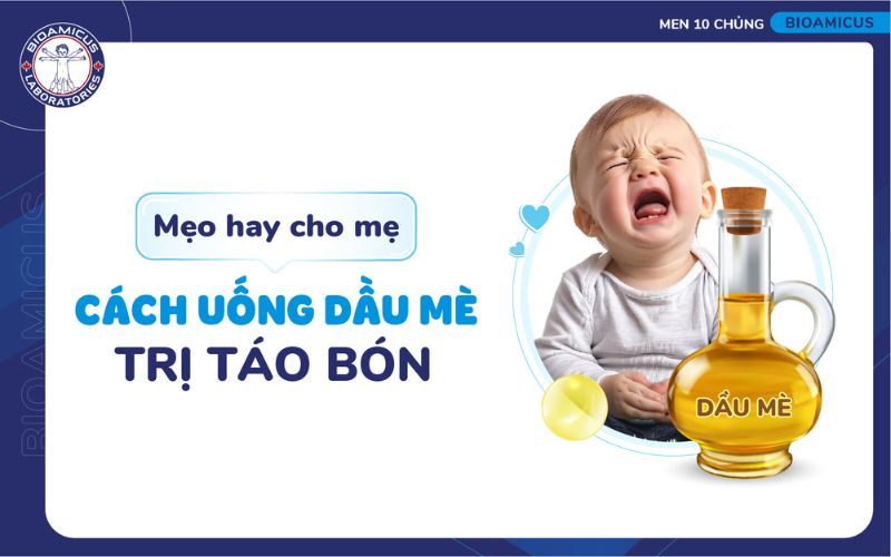 c&aacute;ch uống dầu m&egrave; trị t&aacute;o b&oacute;n