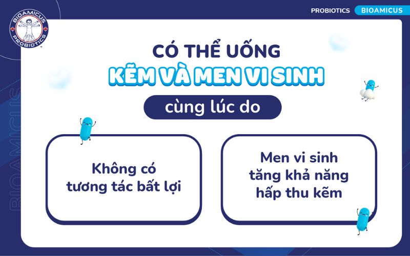 kẽm v&agrave; men vi sinh c&oacute; thể uống c&ugrave;ng l&uacute;c