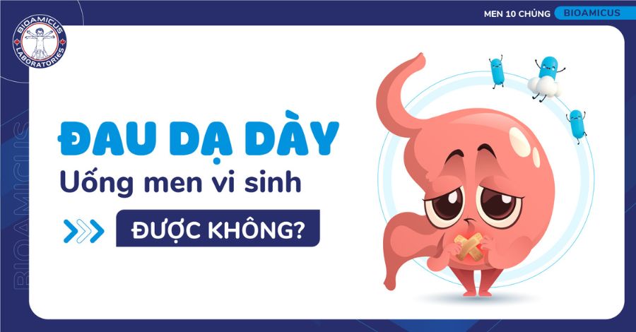 Đau dạ dày uống men vi sinh được không? Hiểu đúng để bổ sung hiệu quả