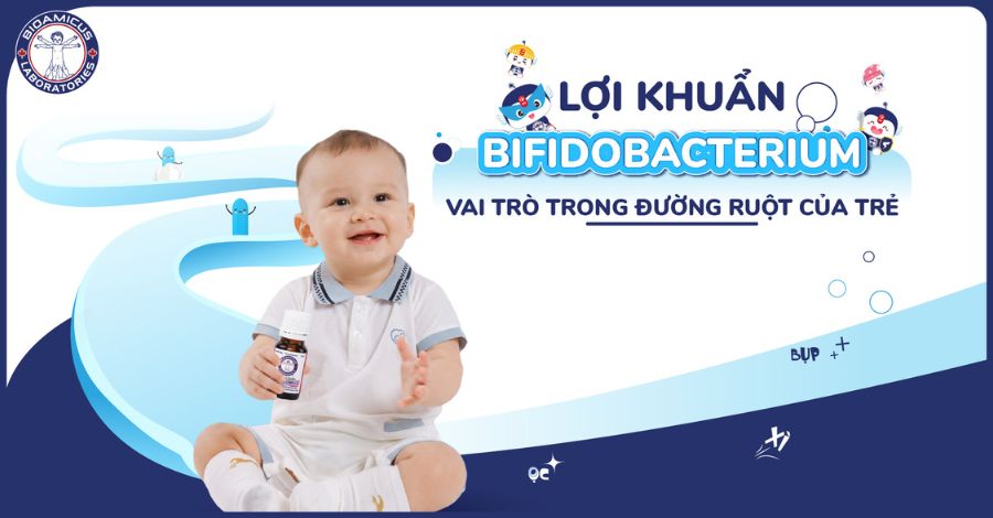 Lợi khuẩn Bifidobacterium và vai trò trong đường ruột