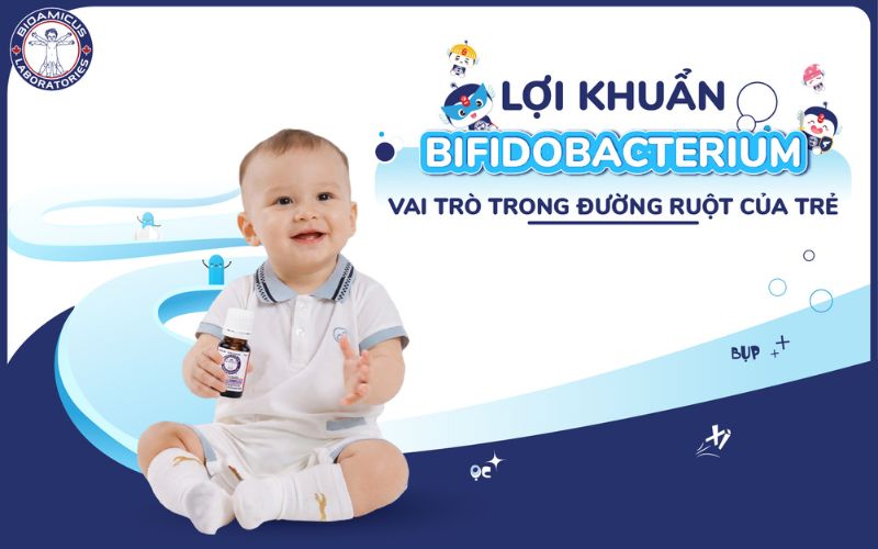 lợi khuẩn bifidobacterium và vai trò trong đường ruột